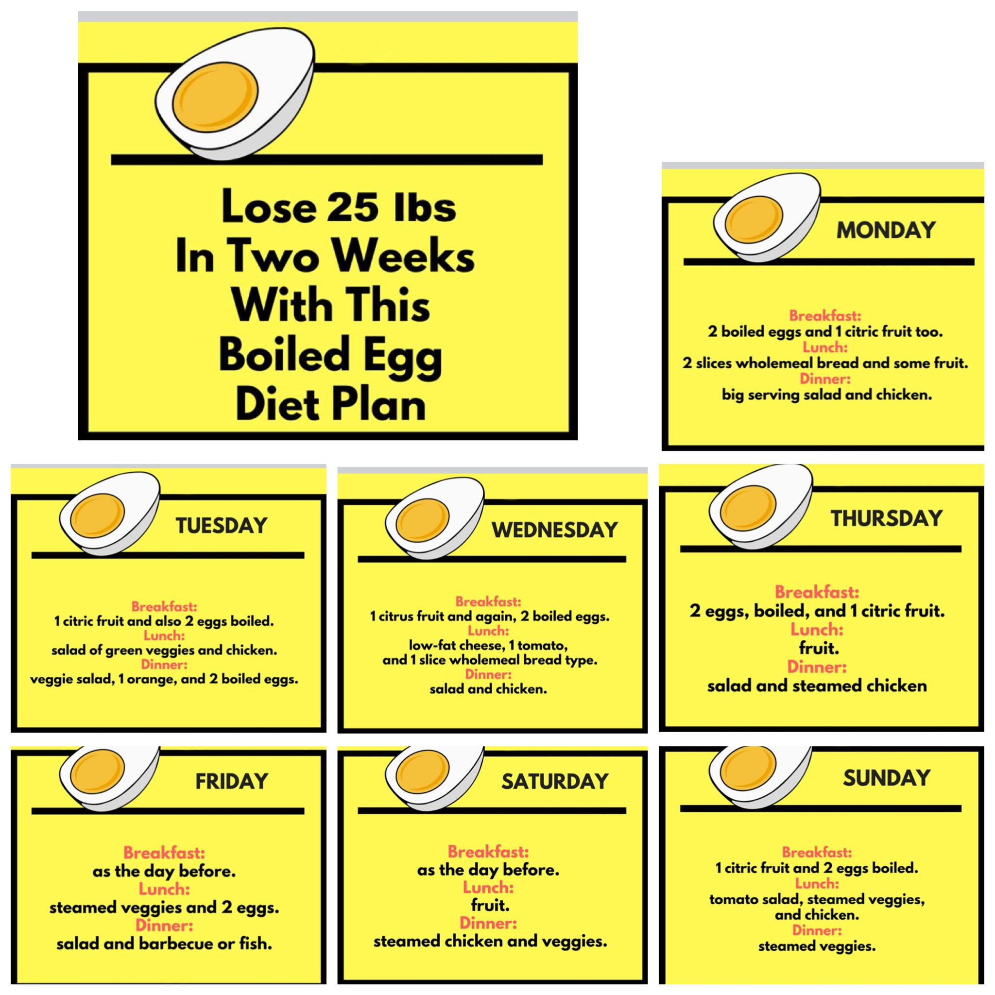 Printable Egg Diet Plan PrintableDietPlan