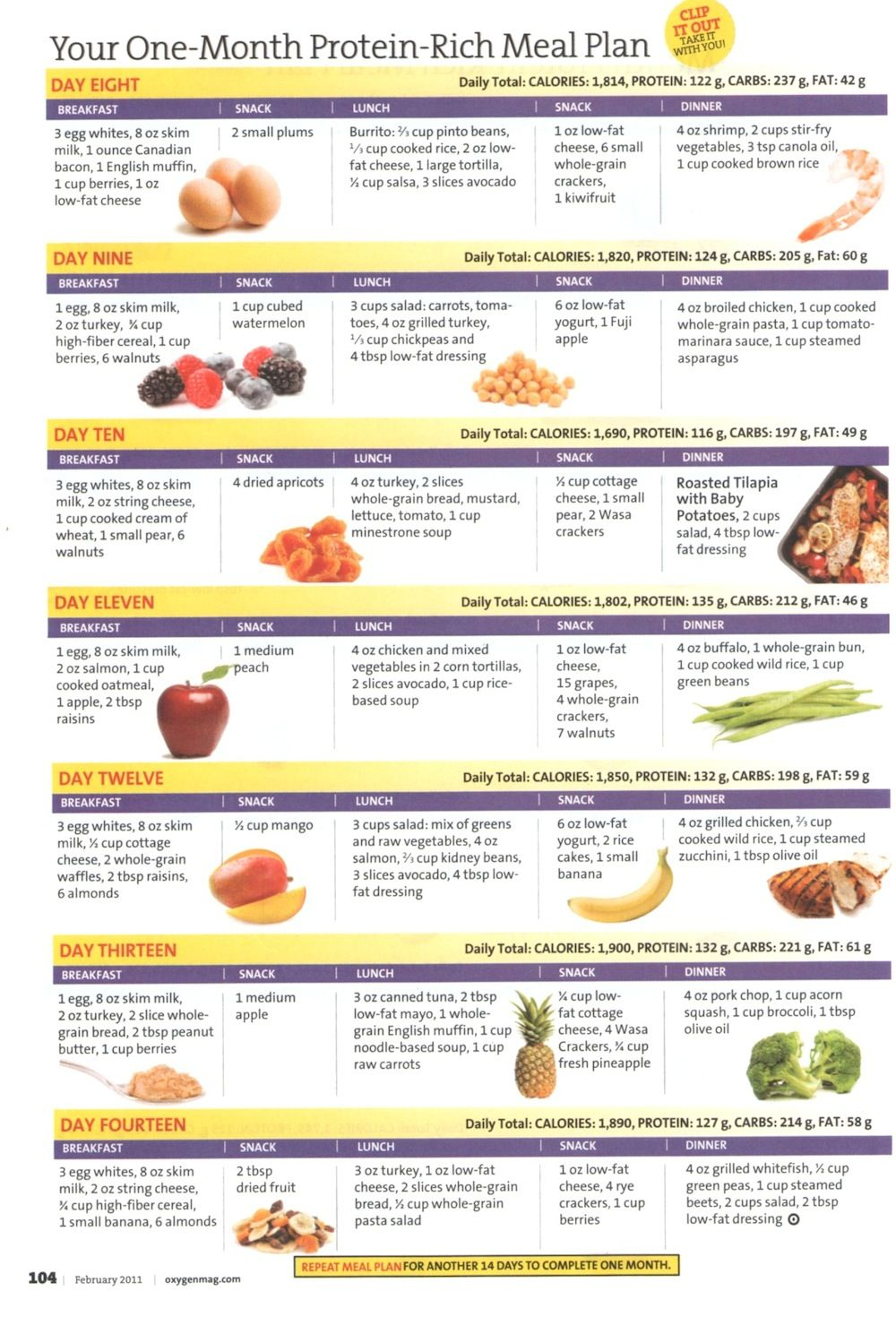 Printable High Protein Diet Plan PrintableDietPlan