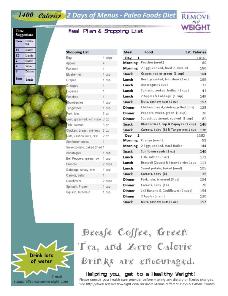 1400 Calorie Meal Plan Printable PrintableDietPlan