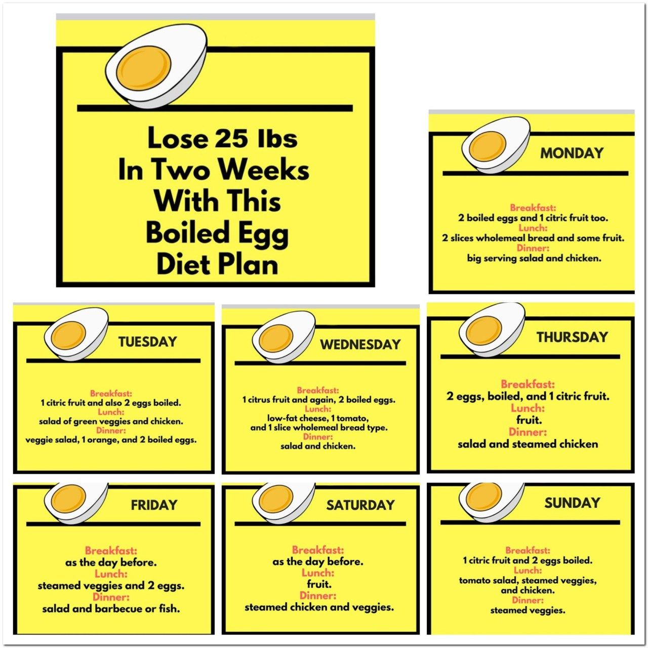 28 Day Egg Diet Printable PrintableDietPlan