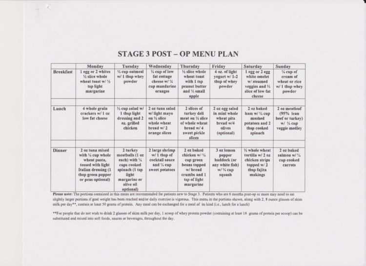 Printable Bariatric Meal Plan Pdf PrintableDietPlan