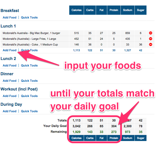 Printable Sharny And Julius Meal Plan Pdf PrintableDietPlan