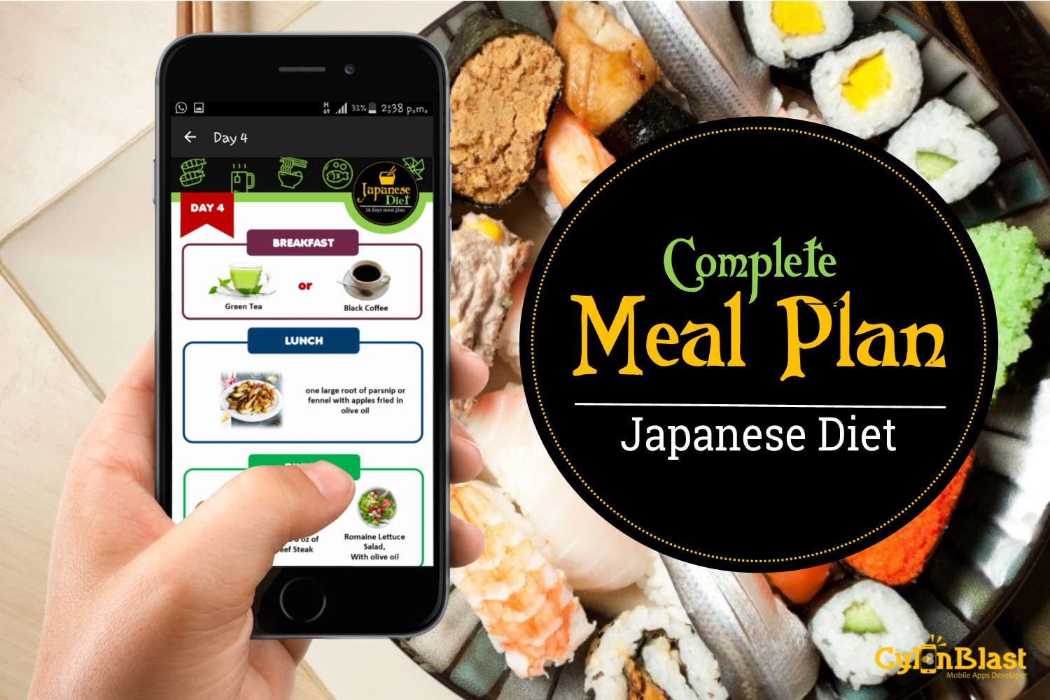 Cylonblast 14 DAYS JAPANESE DIET MEAL PLAN PrintableDietPlan