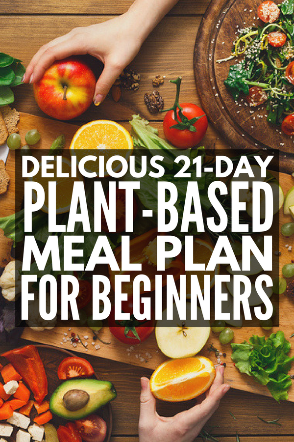 Plant Based Diet Plan For Beginners PrintableDietPlan