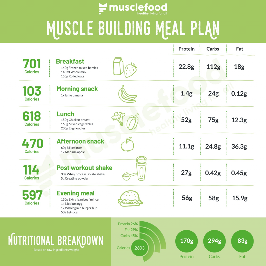 Muscle Building Diet Plan PrintableDietPlan