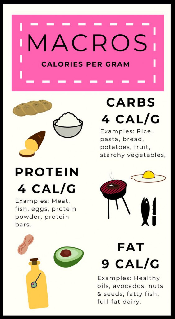 engine-2-diet-meal-plan-printabledietplan