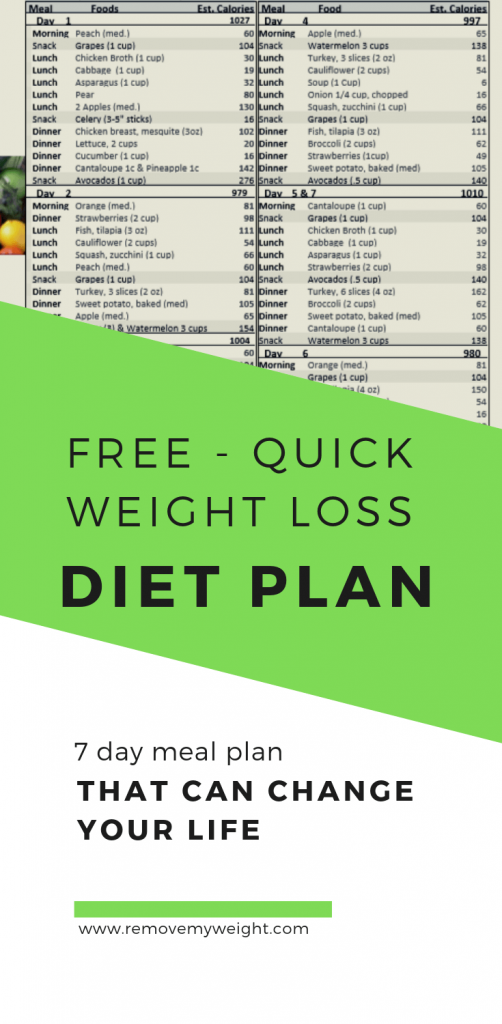 Fast 800 Diet Plan 