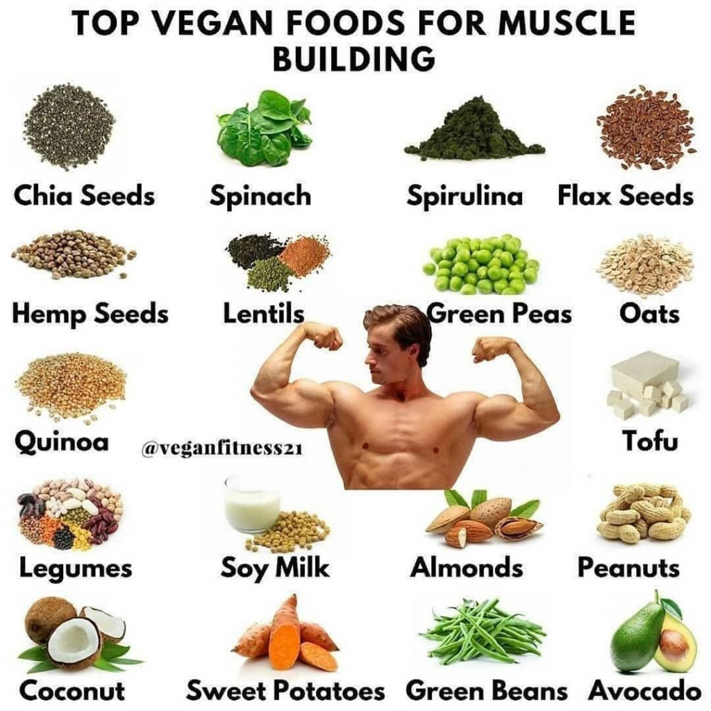 vegetarian-muscle-building-diet-plan-printabledietplan