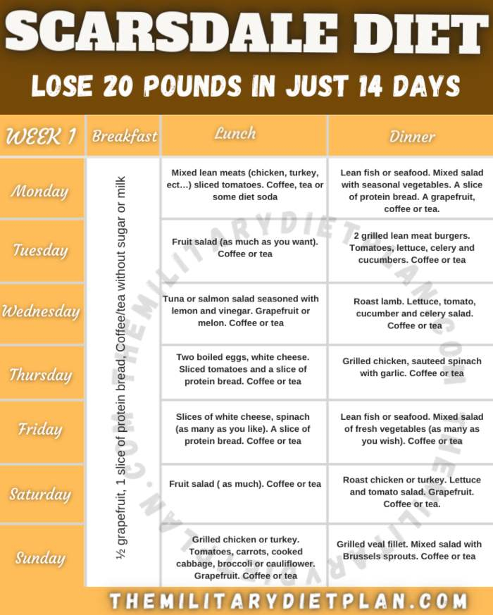 Scarsdale Diet Plan Printable PrintableDietPlan